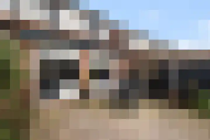 Hondsrug 8 Dronten thumbnail 22