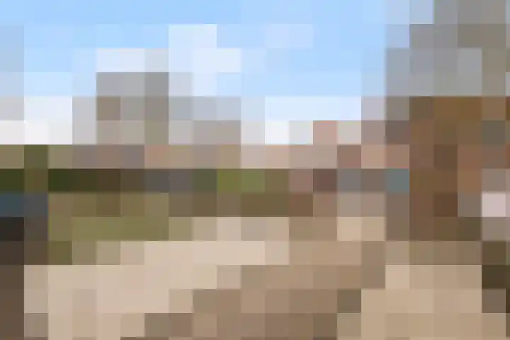 Hondsrug 8 Dronten thumbnail 24