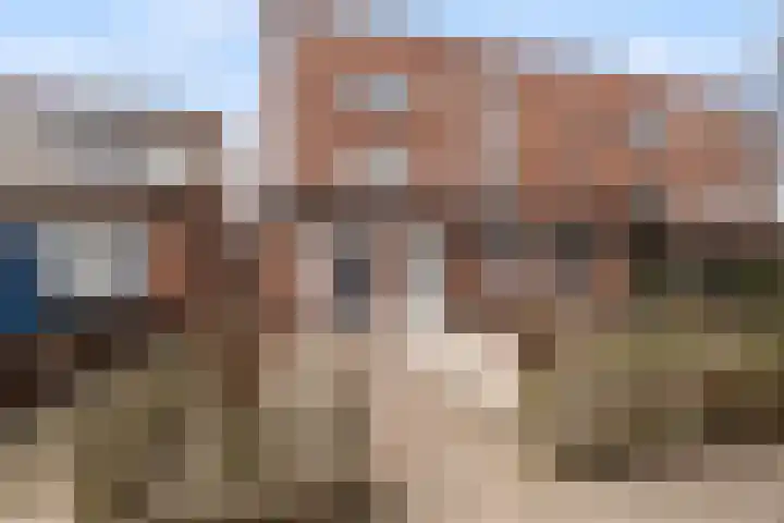 Hondsrug 8 Dronten thumbnail 25