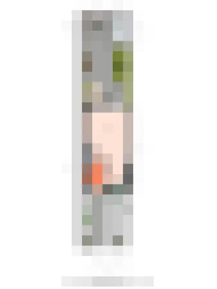 Hondsrug 8 Dronten thumbnail 27