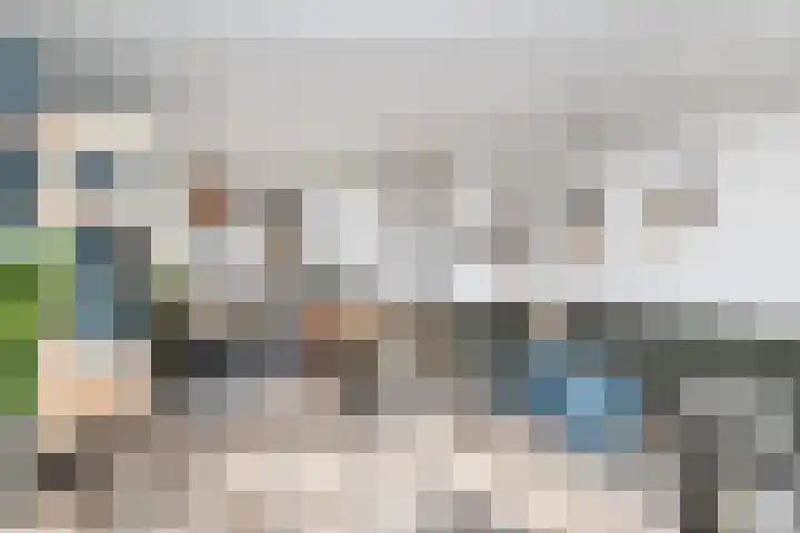 Hondsrug 8 Dronten thumbnail 4