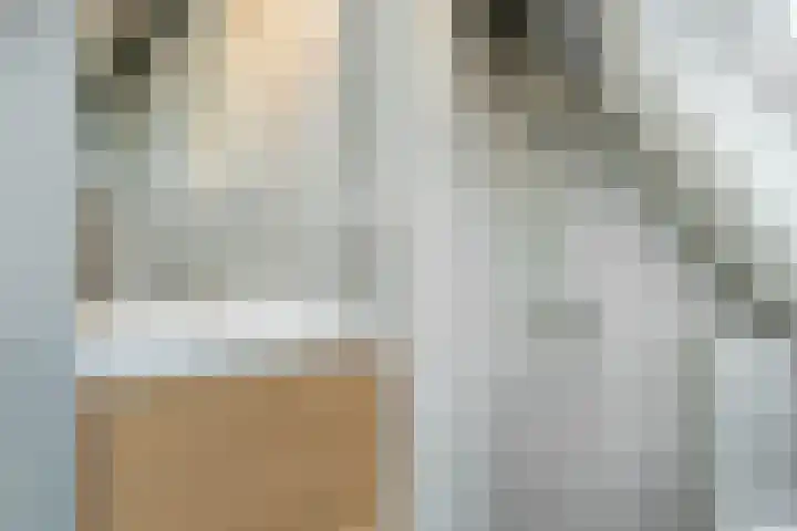 Hondsrug 8 Dronten thumbnail 5