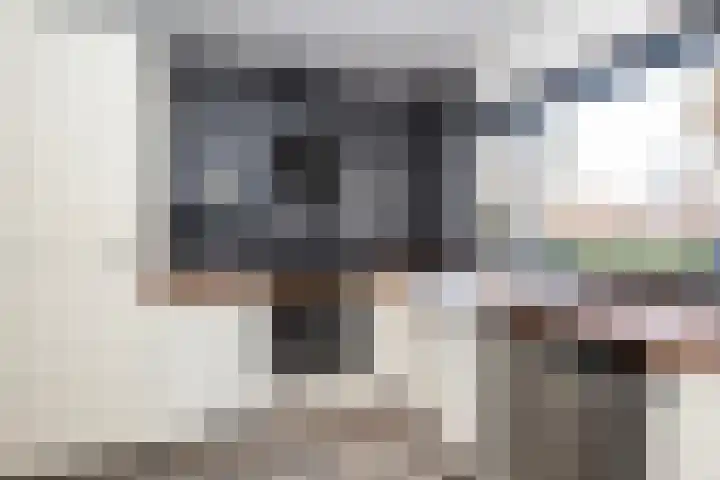 Hondsrug 8 Dronten thumbnail 7