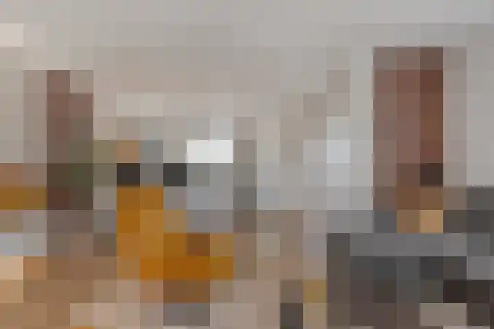 Hondsrug 84 Dronten thumbnail 12