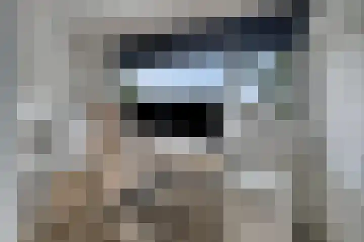 Hondsrug 84 Dronten thumbnail 23