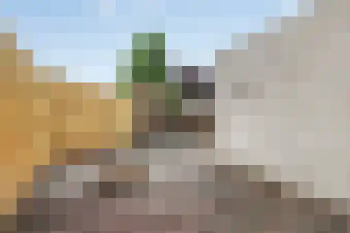 Hondsrug 84 Dronten thumbnail 24