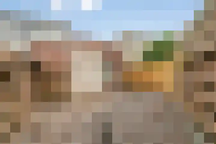 Hondsrug 84 Dronten thumbnail 26