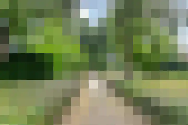 Hondsrug 84 Dronten thumbnail 28
