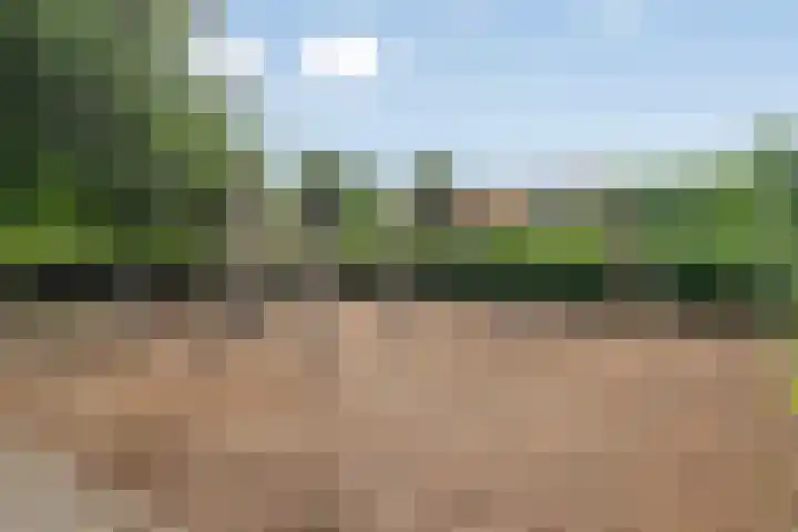 Hondsrug 84 Dronten thumbnail 29