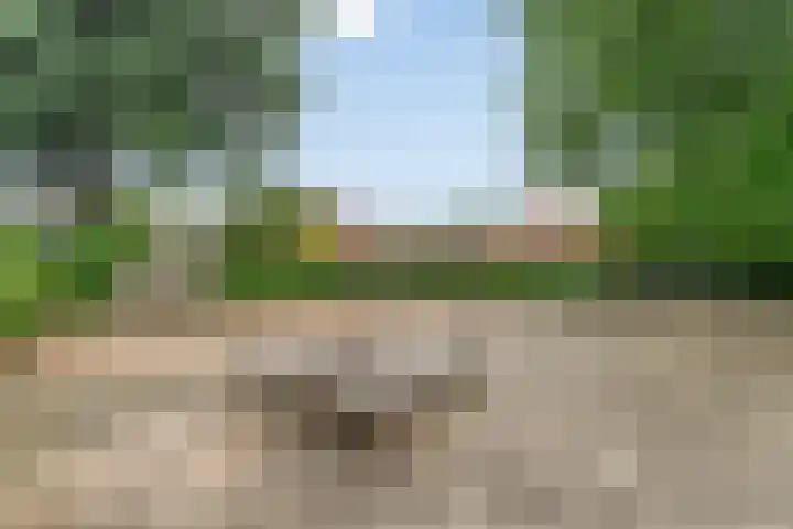 Hondsrug 84 Dronten thumbnail 30