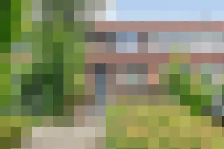Hondsrug 84 Dronten thumbnail 31