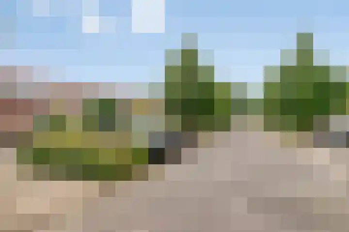 Hondsrug 84 Dronten thumbnail 5