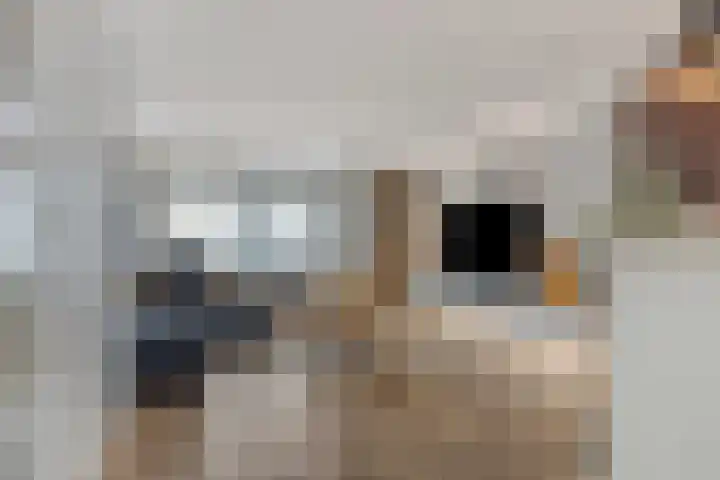 Hondsrug 84 Dronten thumbnail 8