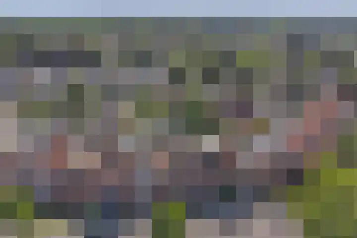 Hondsrug 92 Dronten thumbnail 26