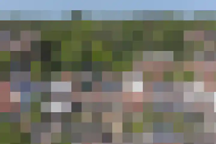 Hondsrug 92 Dronten thumbnail 27