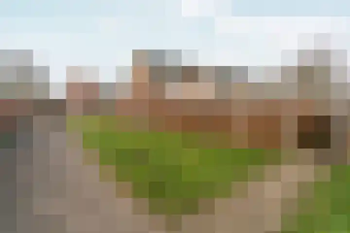 Honigkamp 126 Arnhem thumbnail 36