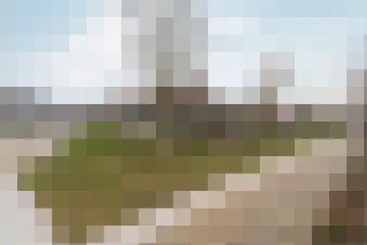 Honigkamp 126 Arnhem thumbnail 37