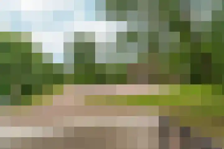 Honigkamp 140 Arnhem thumbnail 20