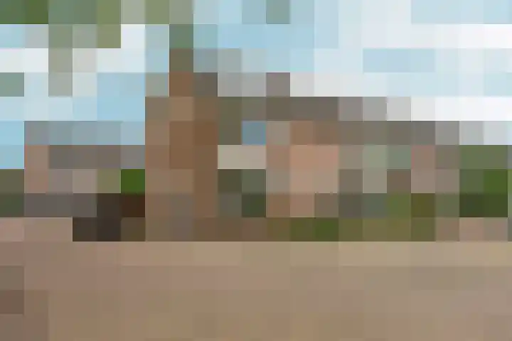 Honigkamp 140 Arnhem thumbnail 36
