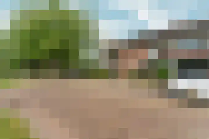 Honigkamp 140 Arnhem thumbnail 37
