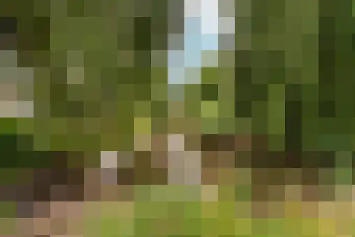 Honigkamp 140 Arnhem thumbnail 39
