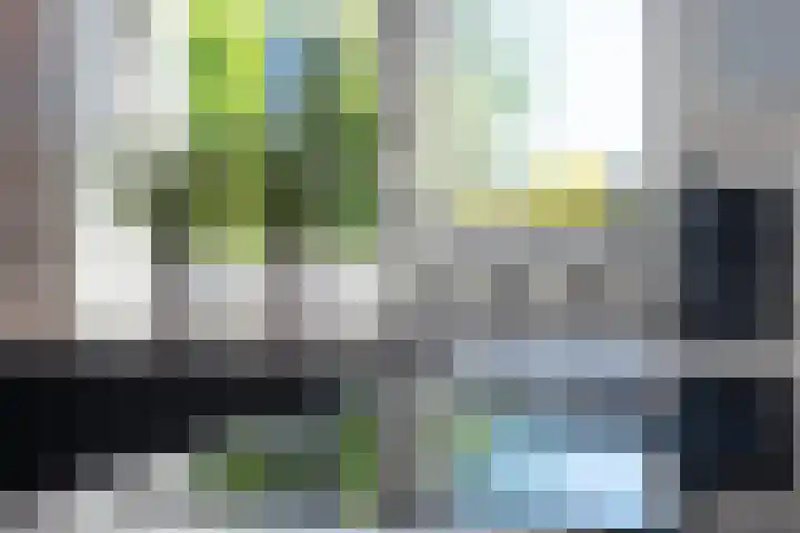 Honingbes 2 Borne thumbnail 16