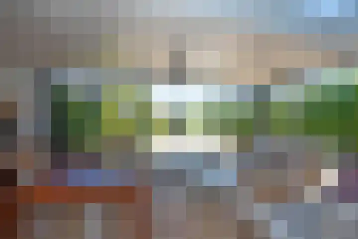Honingbes 2 Borne thumbnail 17