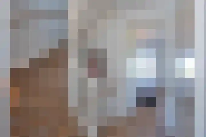 Honingbes 2 Borne thumbnail 19