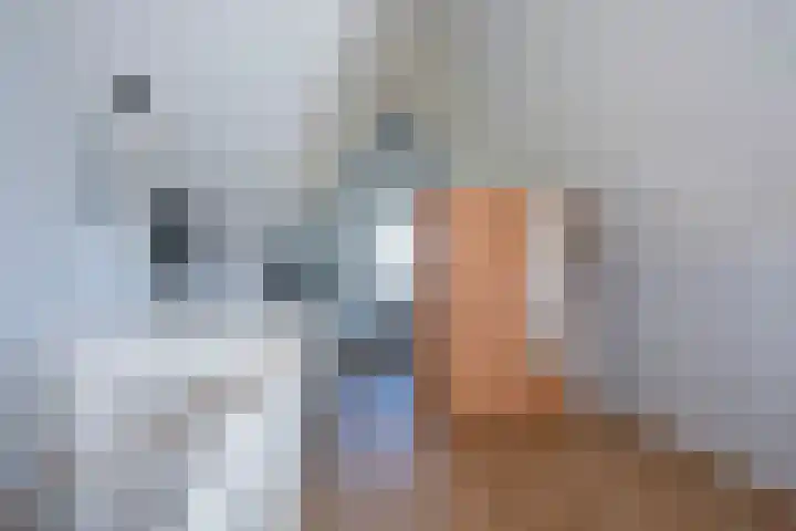 Honingbes 2 Borne thumbnail 28