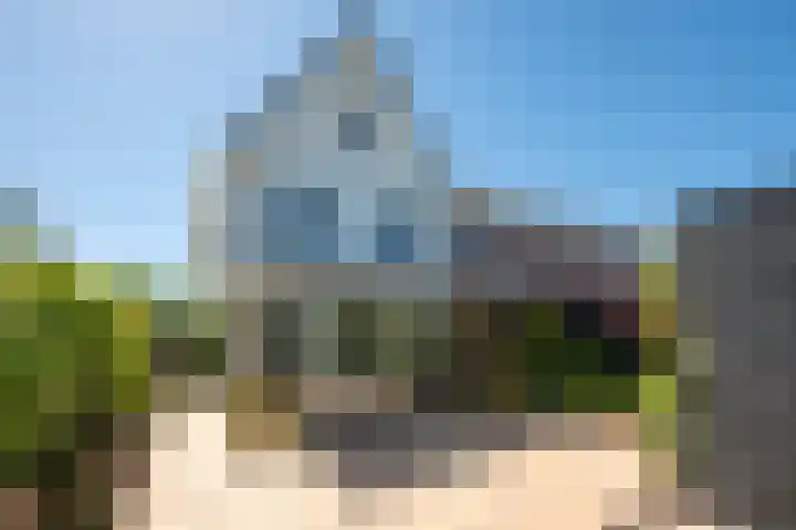 Honingbes 2 Borne thumbnail 29