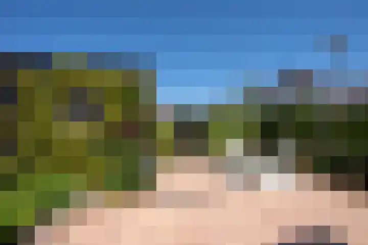 Honingbes 2 Borne thumbnail 32