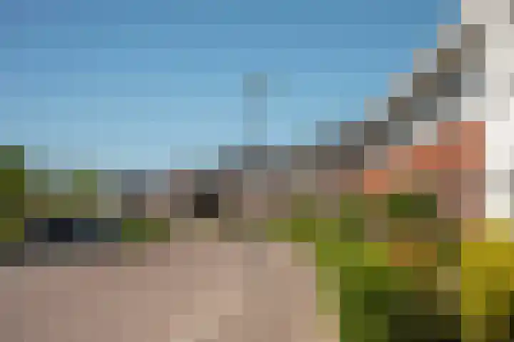 Honingbes 2 Borne thumbnail 34