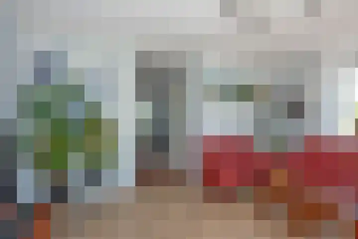 Honingbes 2 Borne thumbnail 9