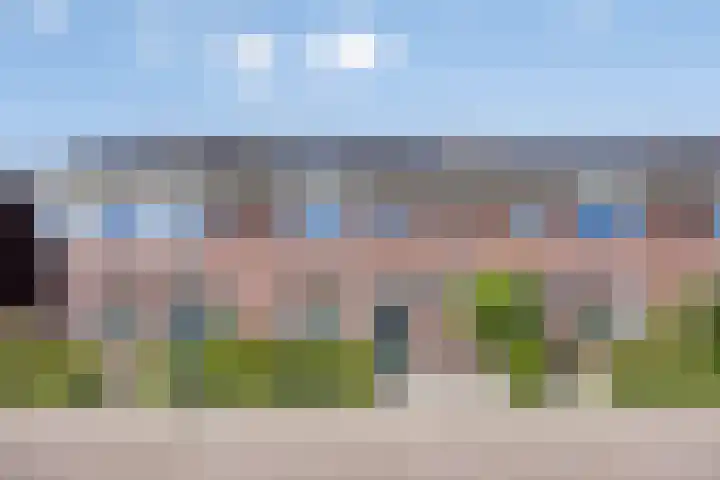 Honingbes 42 Borne