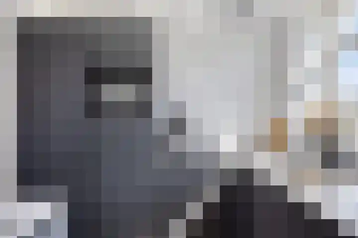 Honingbes 42 Borne thumbnail 14