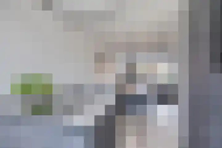 Honingbes 42 Borne thumbnail 15