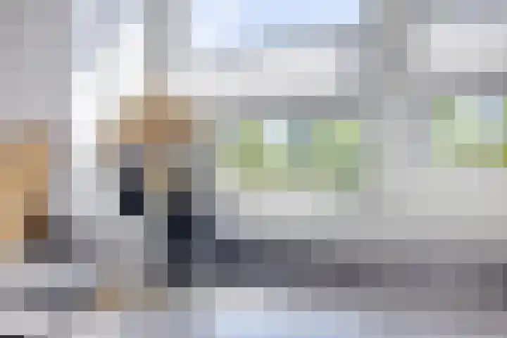 Honingbes 42 Borne thumbnail 16