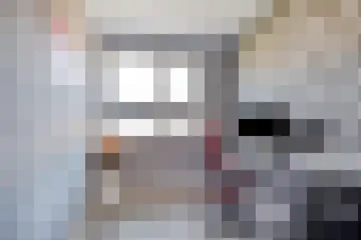 Honingbes 42 Borne thumbnail 26