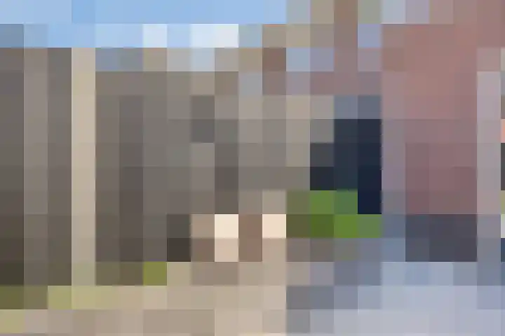 Honingbes 42 Borne thumbnail 30
