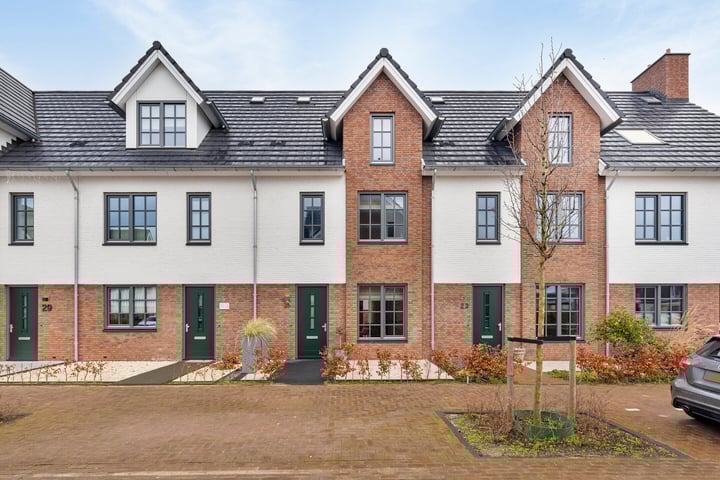 Honingbij 25 in Waddinxveen foto