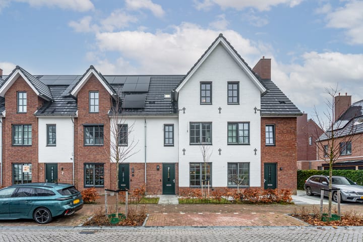 Honingbij 3 in Waddinxveen foto