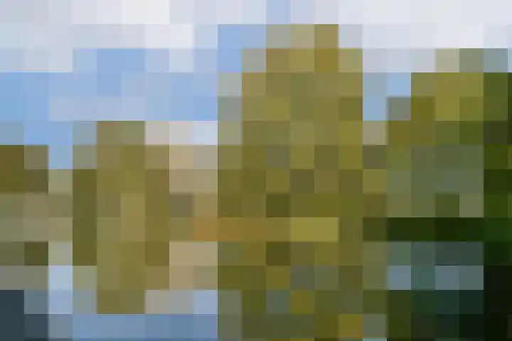 Honingen 26 Amsterdam thumbnail 19