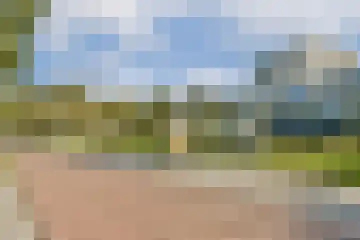 Honingen 26 Amsterdam thumbnail 20
