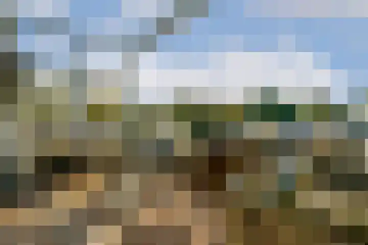 Honingen 26 Amsterdam thumbnail 7