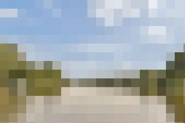 Honingen 27 Amsterdam thumbnail 31