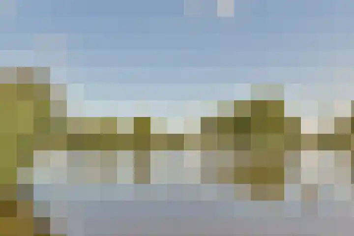 Honingen 27 Amsterdam thumbnail 32
