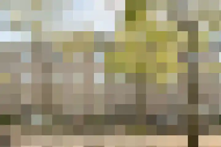Honingen 27 Amsterdam thumbnail 4