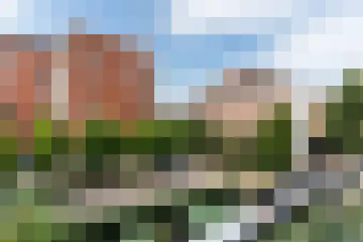 Honingerdijk 17 A 01 Rotterdam thumbnail 17