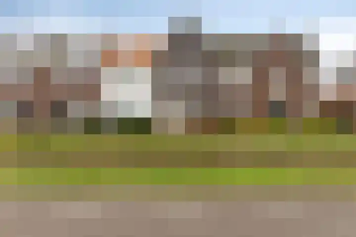 Honingeter 4 Dirksland