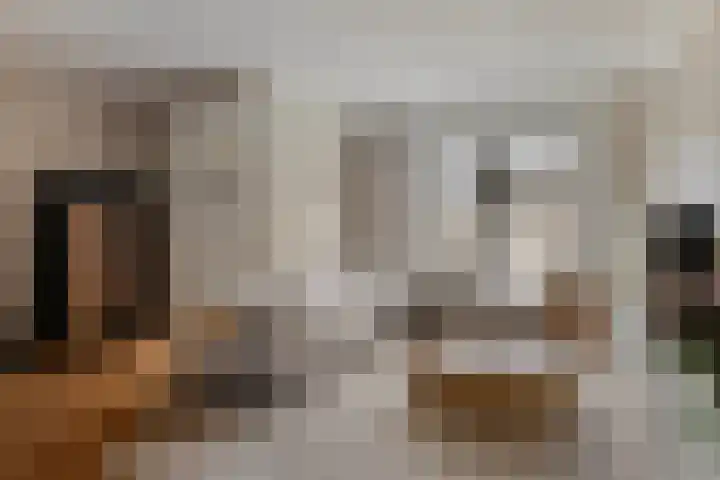 Honingeter 4 Dirksland thumbnail 10